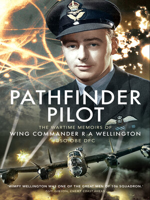 cover image of Pathfinder Pilot
